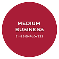 Medium (51-125 Employees)