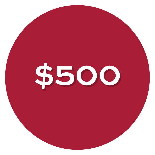 Pay What You Can $500